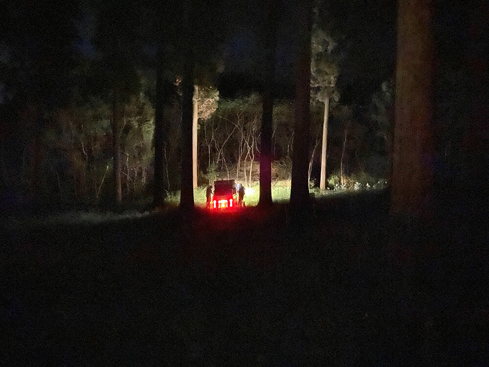 暗い森の中で懐中電灯の明かりが灯っている写真