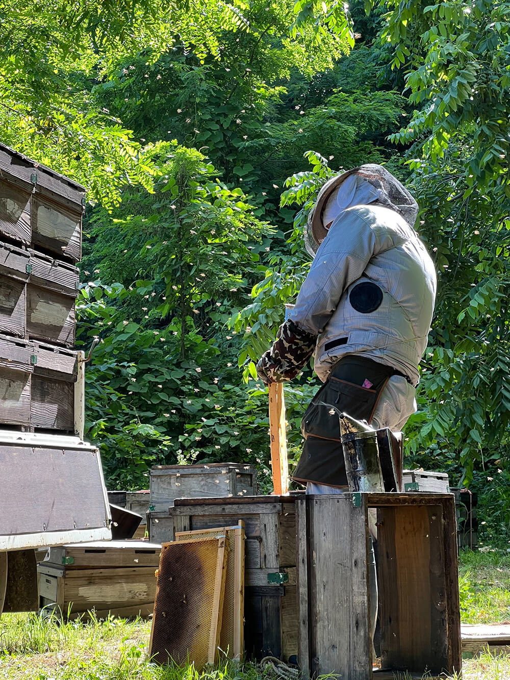 養蜂場で作業中の養蜂部の様子