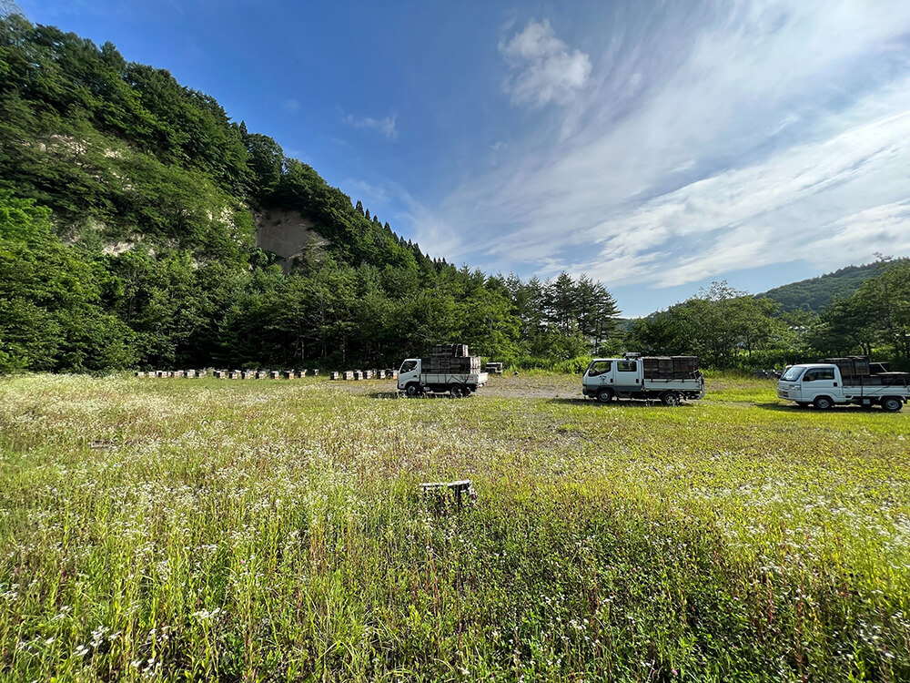 青森の養蜂場の風景の写真