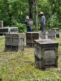巣箱を運ぶ養蜂部の様子