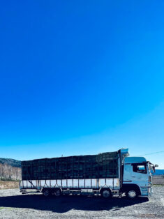 青空を背景にしたトラックの写真