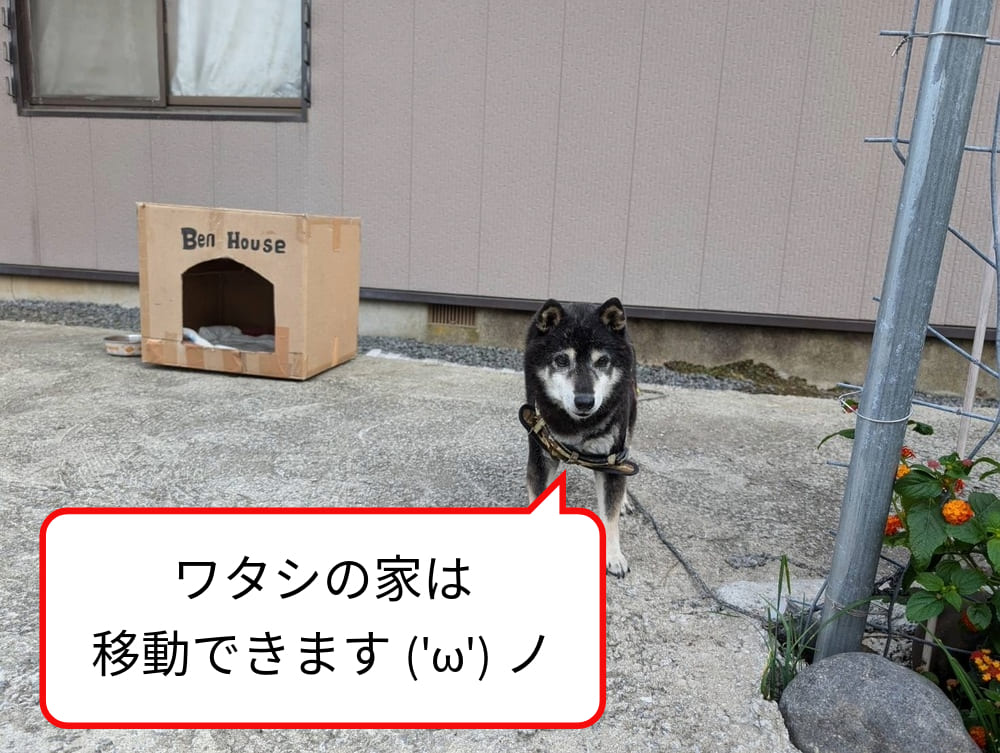 「ワタシの家は移動できます」と言っている養蜂犬ベン