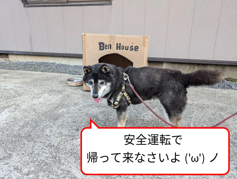 「安全運転で帰って来なさいよ」と養蜂犬ベン