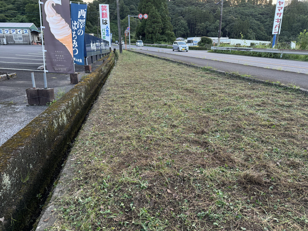 草刈りをしてきれいになった西澤養蜂場高岡本店入口