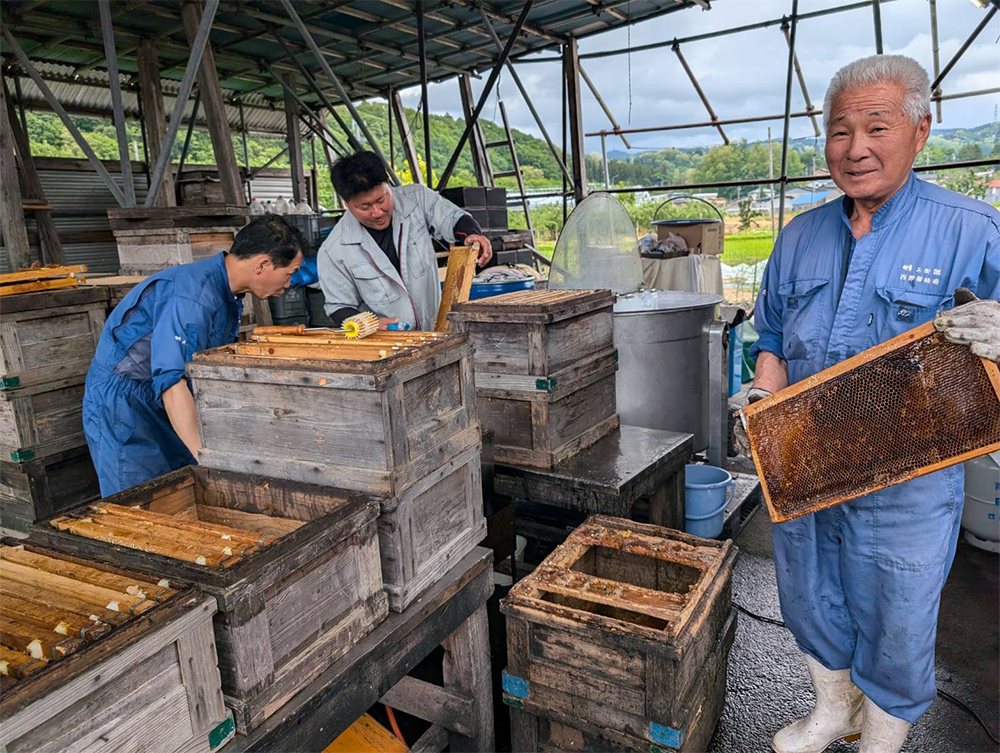 養蜂部の採蜜の様子